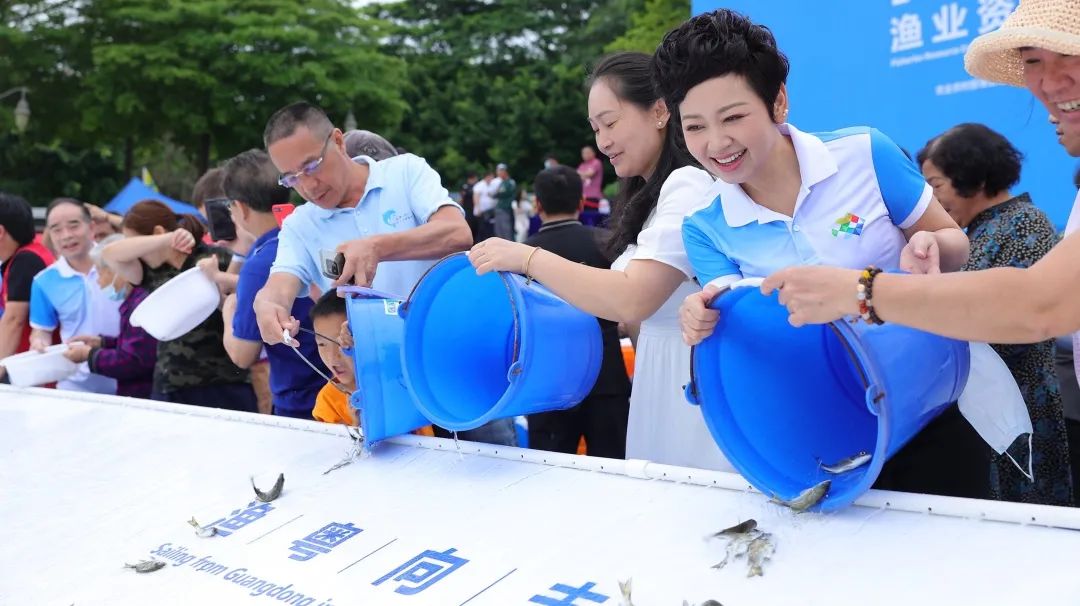 鱼跃深圳湾 共护多样性