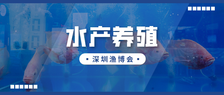 水产养殖风口已至！2026深圳渔博会撬动湾区产业升级